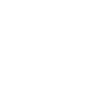 icon family diversification